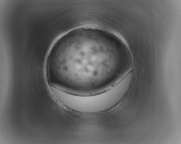 X0000111151104200907071104