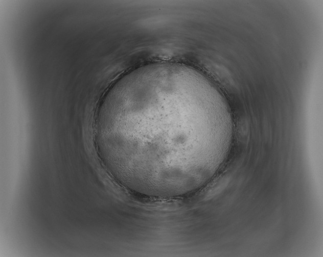 X0000111151105200907071103