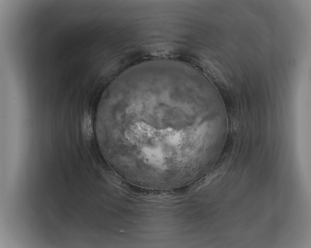 X0000111151106200907071103