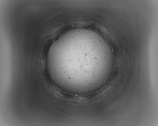 X0000111151109200907071103