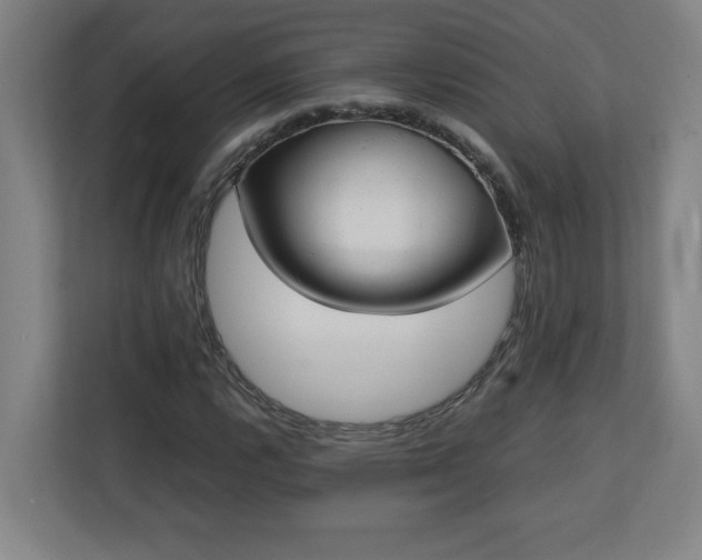 X0000111151112200907071103