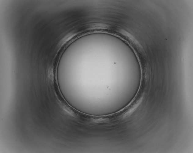 X0000111151113200907071103
