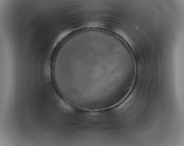 X0000111151115200907071103