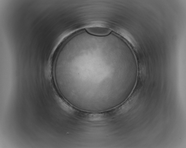 X0000111151116200907071103