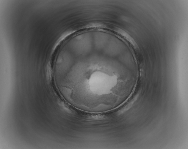 X0000111151117200907071103