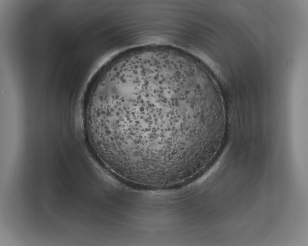 X0000111151118200907071103