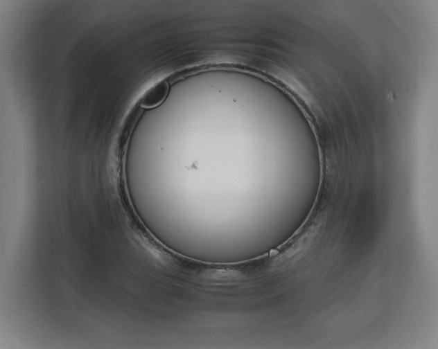 X0000111151119200907071103