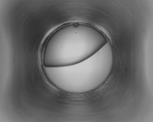 X0000111151120200907071103