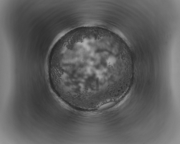 X0000111151122200907071103