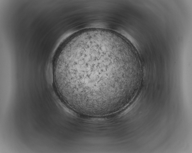 X0000111151123200907071103