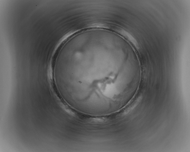 X0000111151125200907071103