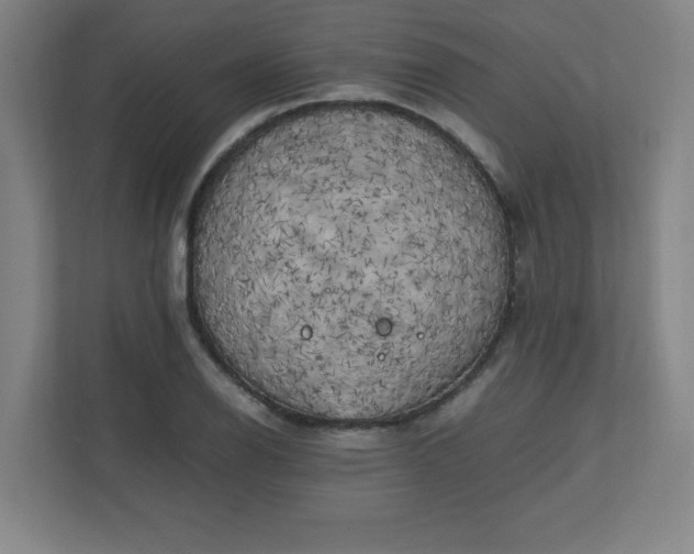 X0000111151126200907071103