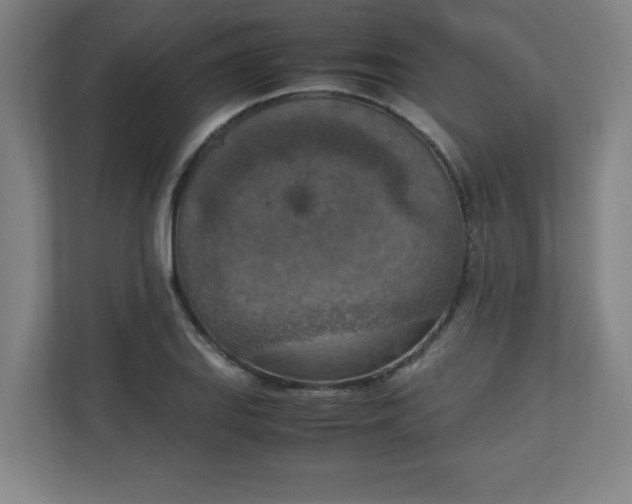 X0000111151127200907071103