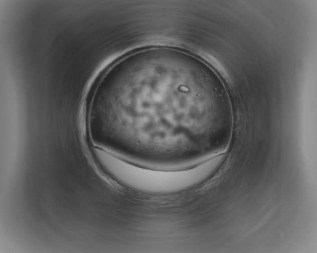 X0000111151128200907071103