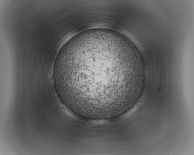X0000111151129200907071103