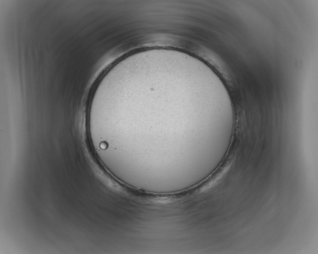 X0000111151130200907071103