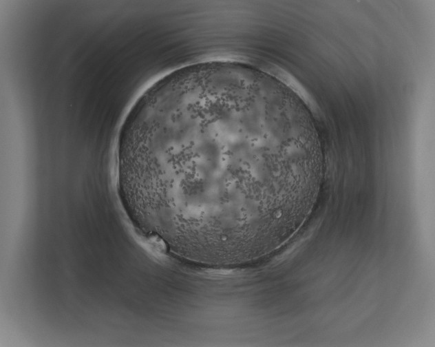 X0000111151132200907071103