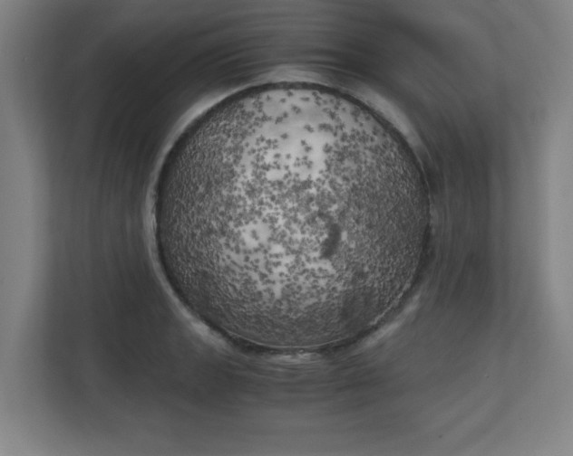 X0000111151133200907071104