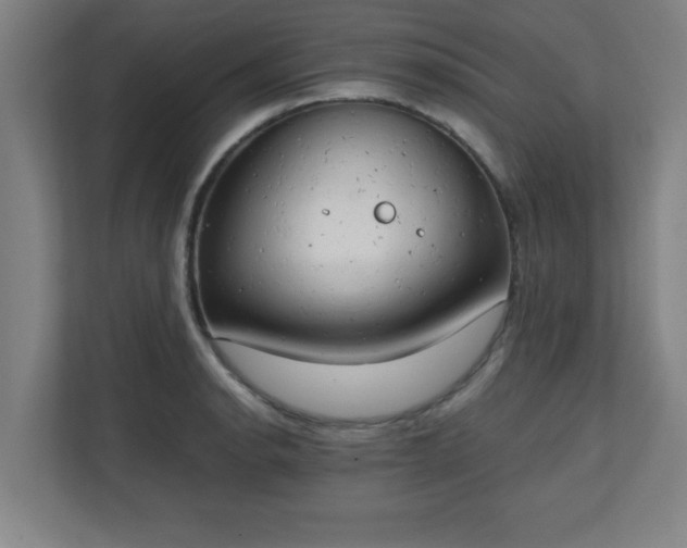 X0000111151134200907071104
