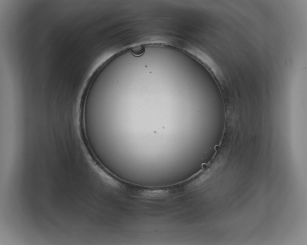 X0000111151135200907071104