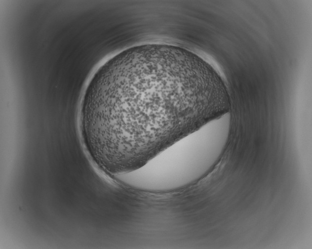 X0000111151136200907071104