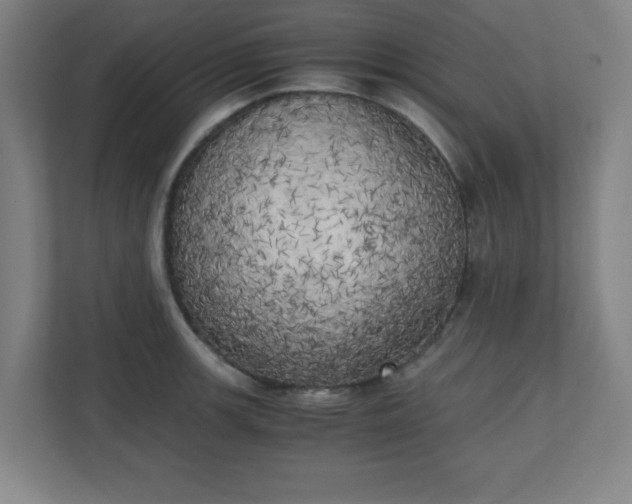 X0000111151139200907071104