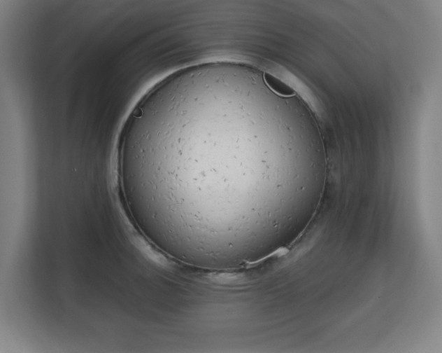 X0000111151140200907071104