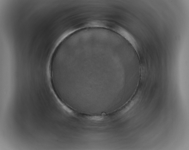 X0000111151141200907071104