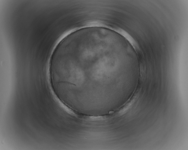 X0000111151142200907071104