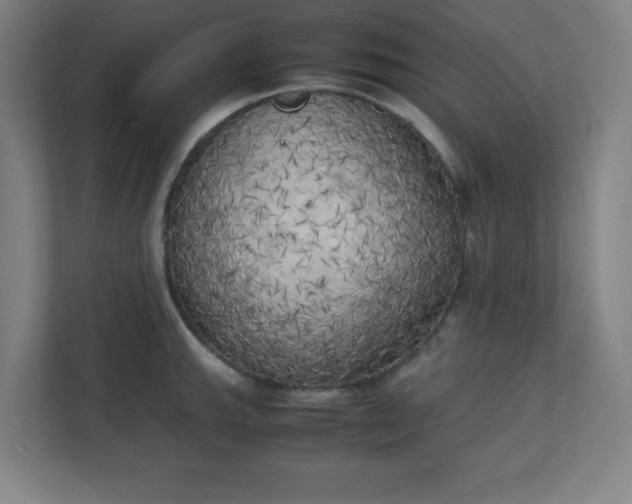 X0000111151143200907071104