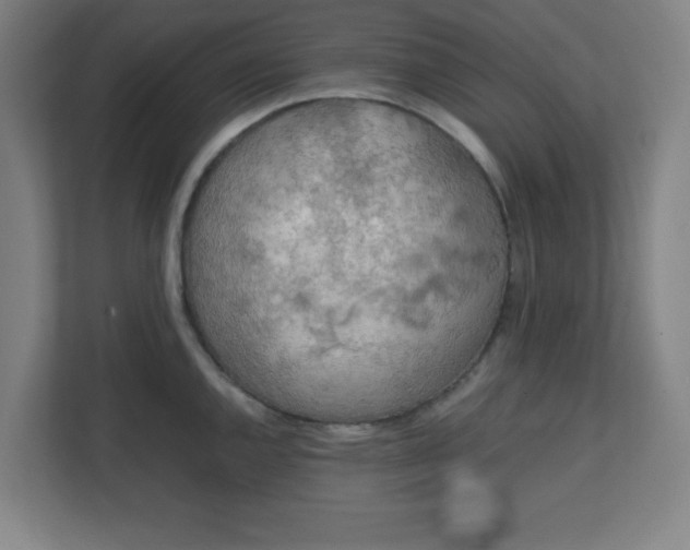 X0000111151144200907071104
