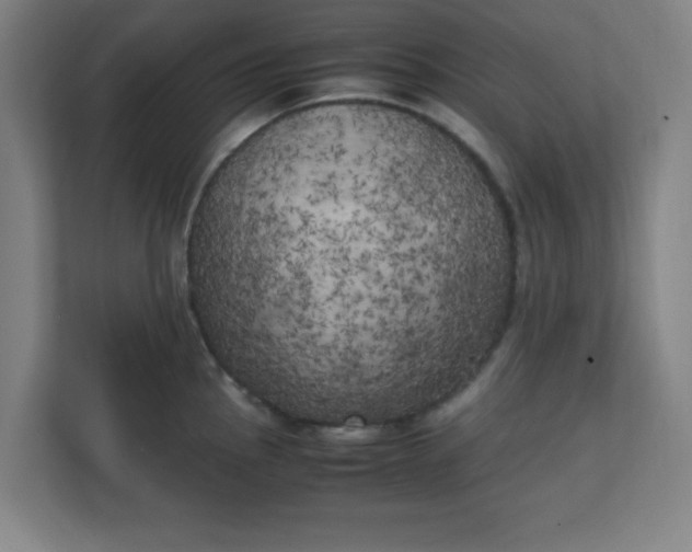 X0000111151145200907071104