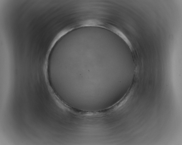 X0000111151146200907071104