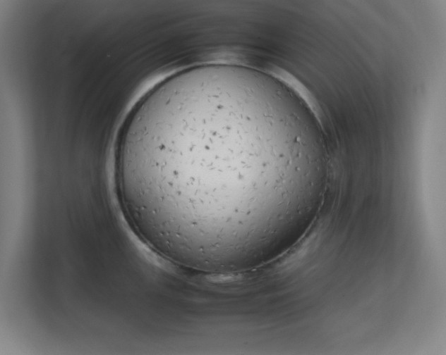 X0000111151147200907071104
