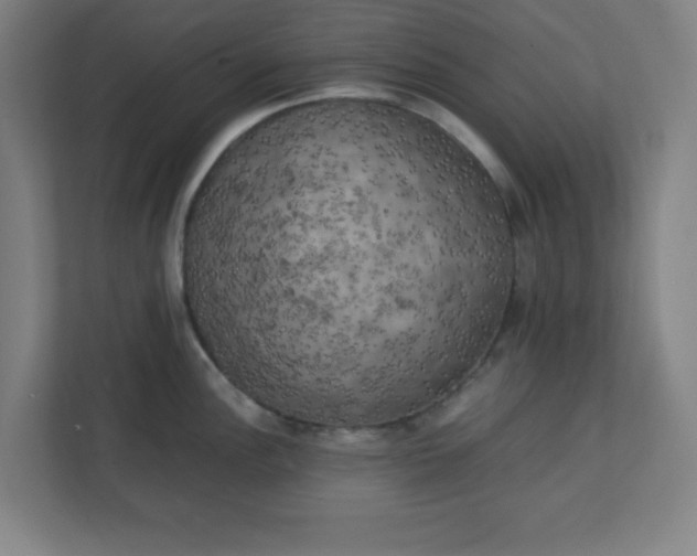 X0000111151148200907071104