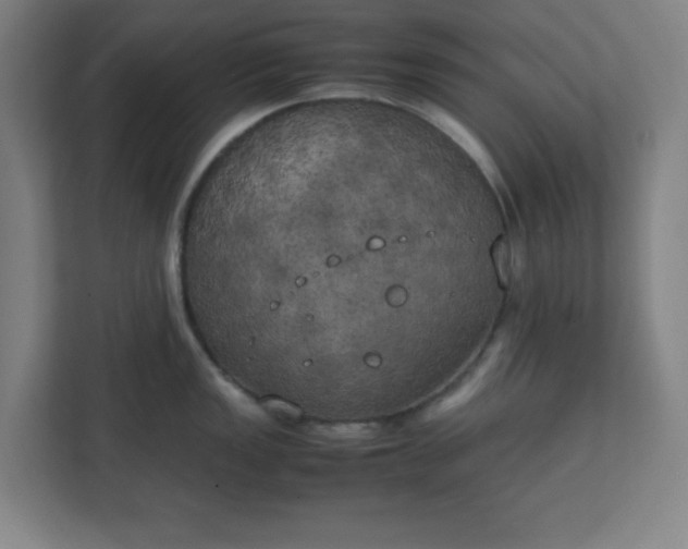 X0000111151149200907071104