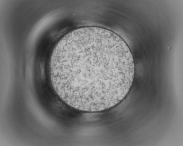X0000111151150200907071104