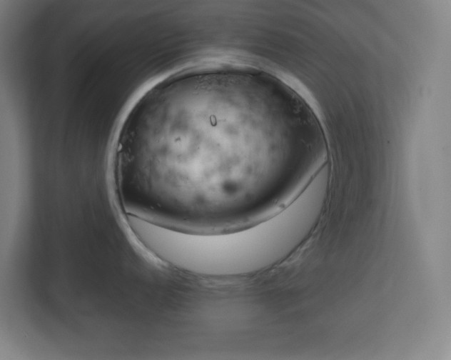X0000111151152200907071104