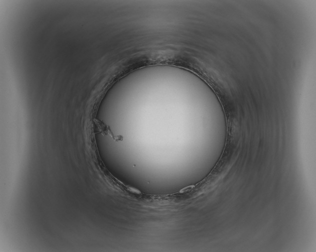 X0000111151153200907071103