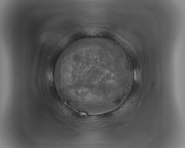 X0000111151155200907071103