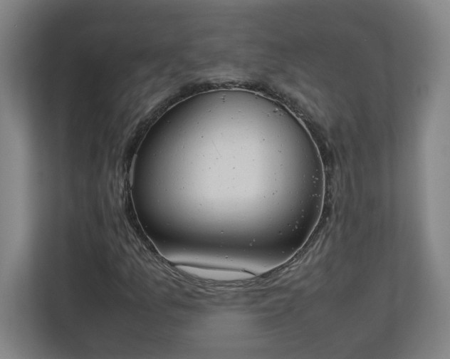 X0000111151157200907071103