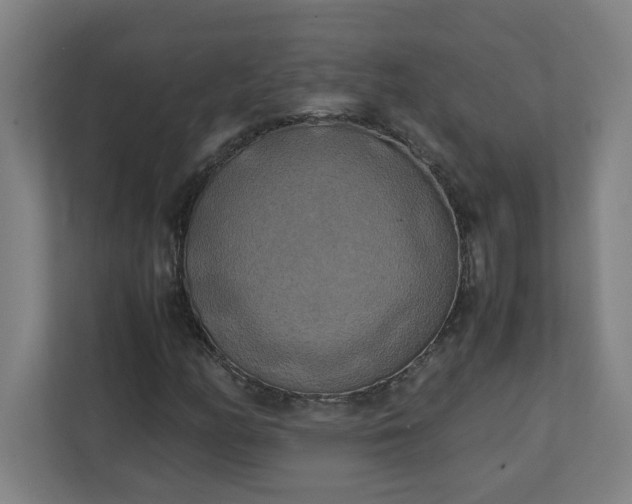 X0000111151158200907071103