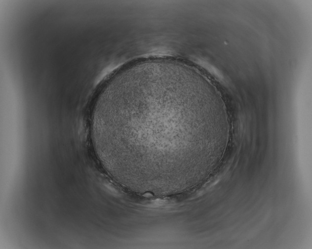 X0000111151160200907071103