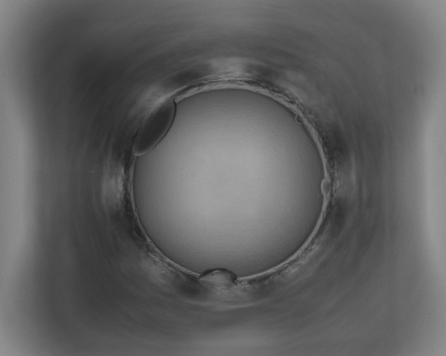 X0000111151161200907071103