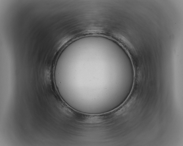 X0000111151162200907071103