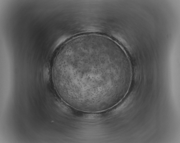 X0000111151163200907071103