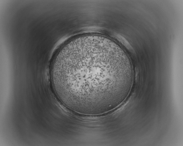 X0000111151164200907071103