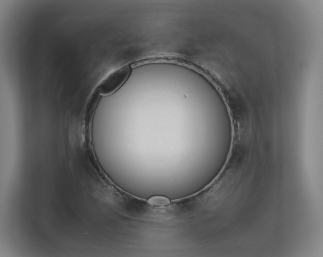 X0000111151165200907071103