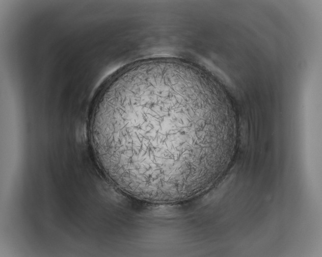 X0000111151166200907071103