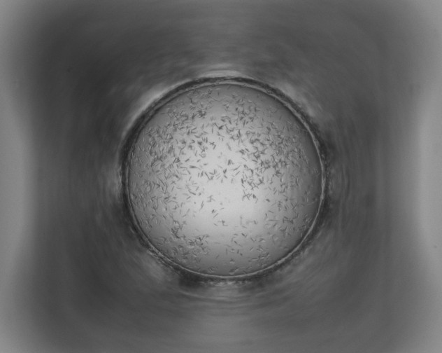 X0000111151167200907071103